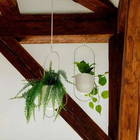 Brand New Center Design - Schlossberg View - By Casa Momo